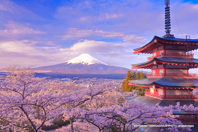 「富士山とサクラと五重塔」（山梨県）