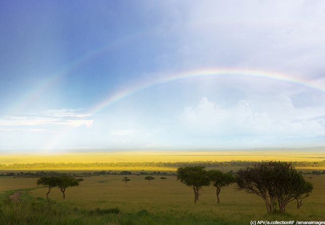 ケニア　マサイマラ国立保護区