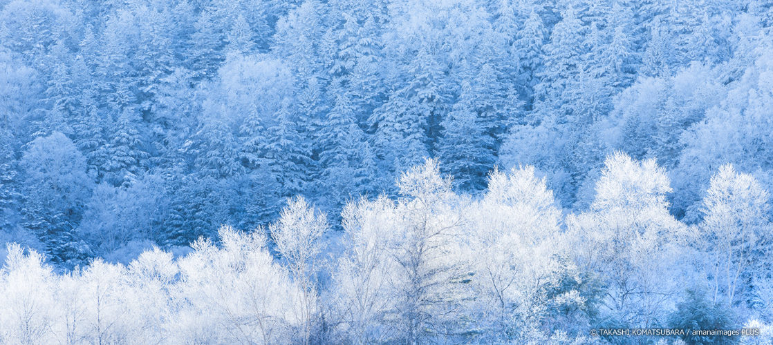 今どこ撮る 今年の冬景色はここ Portfolio By Amanaimages ポートフォリオ